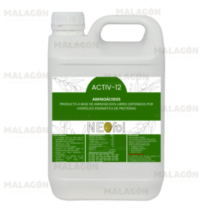 ACTIV-12