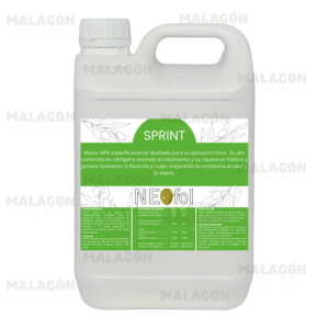 Sprint