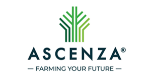 ascenza